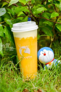 火爆全福州的小鹿茶测评来了！一口气喝了5杯，你的夏日饮品要更新了